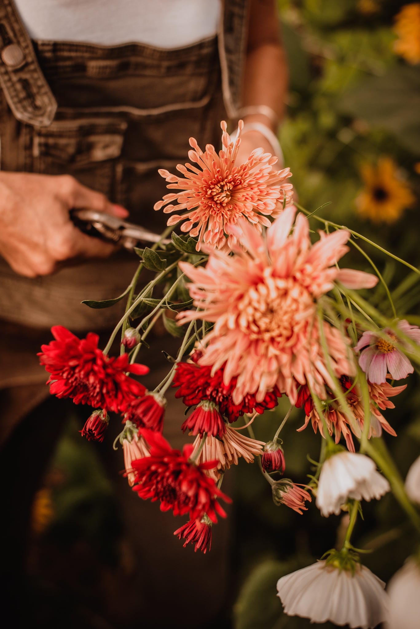 Flower Care Tips | RAISING HAINES